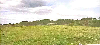 course